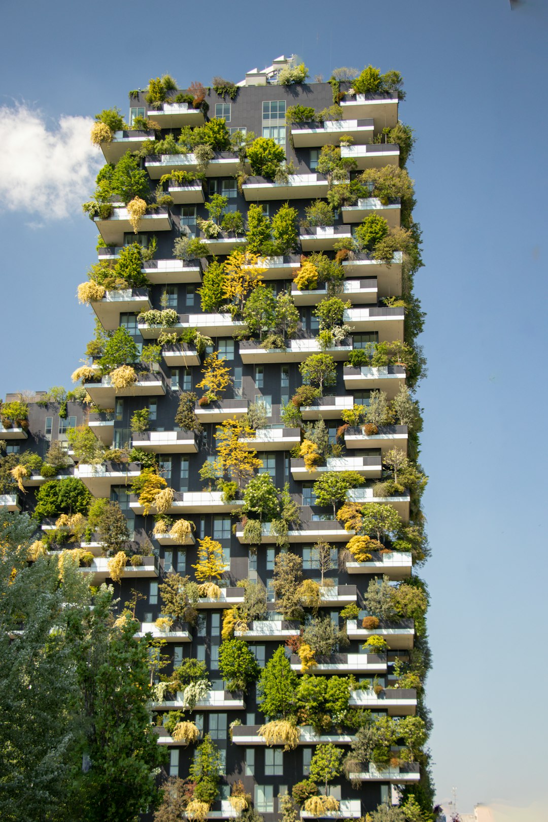 Sustainability Director